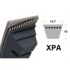 XPA (12.7x10)